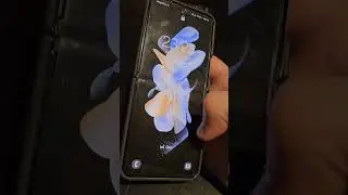 Samsung Galaxy Zflip 4 после года активного использования