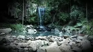 Curtis Falls Mt. Tamborine