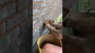 Repointing #brickwork #brickie #bricklayer #repointing