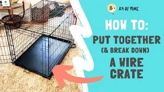 How to Assemble (& Disassemble) a Wire Dog Crate