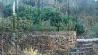 Visita alla sorgente di  Su Gologone