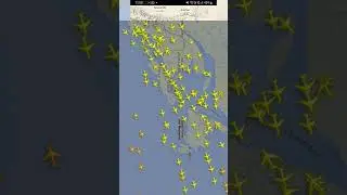 How To Track Flight Status Live |  Flight Tracker Live | #flight
