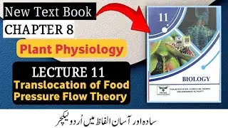 Translocation of Food in Plants | Pressure Flow Theory | Class 11 Biology Chapter 8 New Book 2025