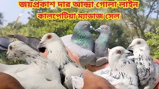 জয়প্রকাশ দার আন্দ্রা গোলা লাইন কালপেটিয়া ম্যাডাজ সেল । Soumen pet valogs 2026