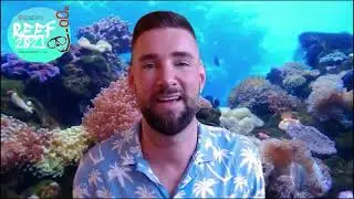REEF 2021 - Summit Intro from Carl & Lukau