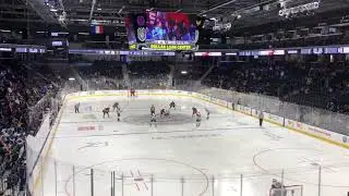 the Dollar Loan Center arena Section 10 Row N - Henderson silver knights