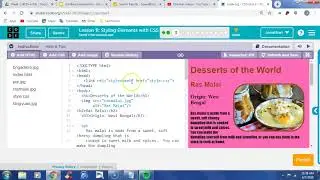 Code org Unit 2 Lesson 11