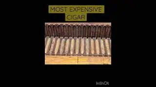 Most expensive Cigar at Auction. Mayan Sicar