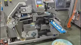 Precision in Action: Our 15g Custom Wonton Machine Passes Pre-Shipment Test for Chile Client!