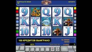Обзор игрового автомата Dolphin's Pearl (Дельфин) от производителя Novomatic - GMSlots
