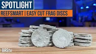 Versatile Homes for New Coral! Reefsmart Easy Cut Frag Disks