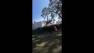 Vida de Adiestrador Canino