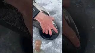 Monster Fish Attacked My Bait in Seconds! 😱🎣#shorts #fishing