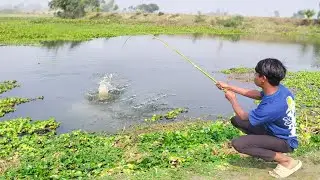 Fishing Video || Anyone can learn to fish by watching the village boy's fishing techniques