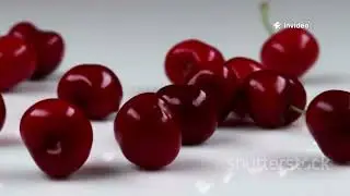 The Journey of Cherries: From Orchard to Table 🍒 #CherryHarvest #FarmingDocumentary #FarmToTable 