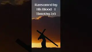 Ransomed by His blood #jesuschrist #dailyshorts #love #dailydevotional #faith #crossofchrist #Jesus