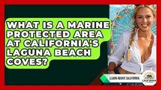 What Is A Marine Protected Area At California's Laguna Beach Coves? - Learn About California