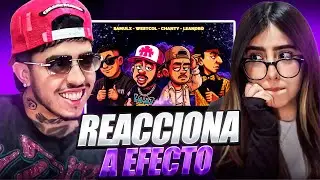 FERNANDAVAAL REACCIONA A EFECTO | WESTCOL 