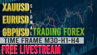 🔴 LIVE XAUUSD M30 ENTRY STRATEGY TRADING FOREX 13 August