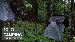 Solo Camping in Rain Forest | Making Tea