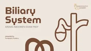 The Biliary System   ARDMS Prep