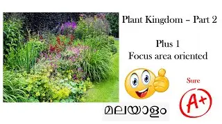 Plus One | Botany Focus Area | Botany | Plant Kingdom - Part 1 | Algae |A+ Special