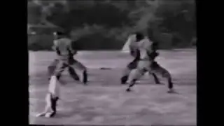 Video archive de vo vietnam 1989-moussa okbi 2017