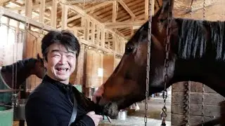 New World Racing Japan - Owner's Club Vlogs - Horse Diaries