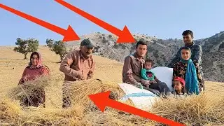 Health Restored and Harvest Time: Ali's Return and Family Support