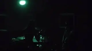 Koala Voice - Kitten On A Journey (Live) Ljubljana 2025
