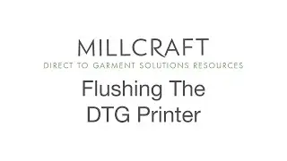 Flushing the RICOH Ri 1000 / RICOH Ri 2000 DTG Printer