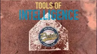 CATCHERS PROGRAM: PROSWING
