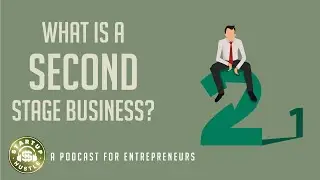 What is a Second Stage Business?