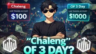 Challenge Of 3 Days 😱 Quotex $100 To $1000 Live Trading Challenge🫡