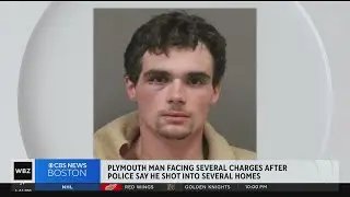 Plymouth man charged with shooting into people's homes