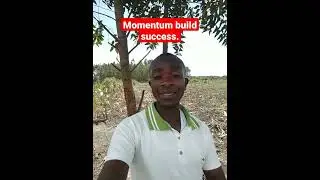 Momentum build success - Motivational speech.#motivation #momentum #success #shorts #sub #subscribe