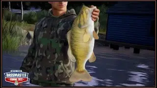 Smallmouth Disneyland at St Lawrence River - Bassmaster Fishing 2022