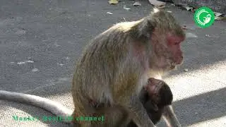 HEIDI REVIEW!!! Providing Foods to Poor Baby Heidi| Heidi Group
