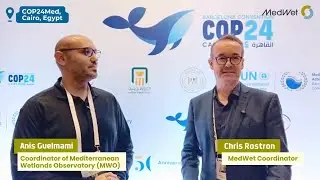 Key Takeaways from the Mediterranean Wetlands Outlook-3 presentation at COP24 Barcelona Convention