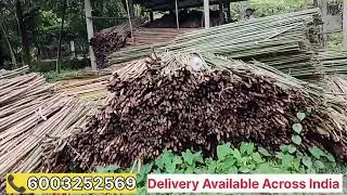 Assam Bamboo Market || All Sizes of Bamboo Sticks are Available Here || Assam Best Bamboo Supplier 