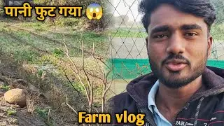 12 Din Baad Vlog 🎥 | Makka Ko Pani Diya 🌽 | Farm Life 🐐🐓 | Desi Vlog