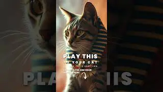 Egyptian Cat Worship Music | Ancient Flute For Cats 🙌 Mystical Melodies | Healing Frequency