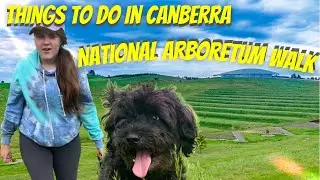 National Arboretum Canberra dog walk - the best walks of Canberra ACT