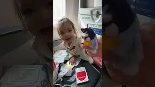 VUELOS CON TODDLERS