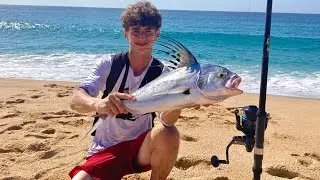 Topwater Roosterfish From Shore