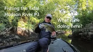 Fishing the Tidal Hudson River P3