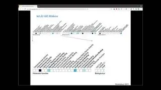 WormBase Webinar #8: Gene Function Graphs and Gene Set Enrichment Analysis