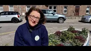 Paws on Plastic Dog walkers  Stonehaven Scotland
