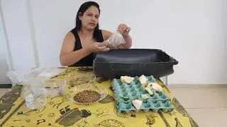 como criar tenebrio