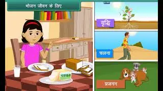 Living 🌱and Non-living 🪑 Things | Class 3 EVS (Hindi) | Kids Learning